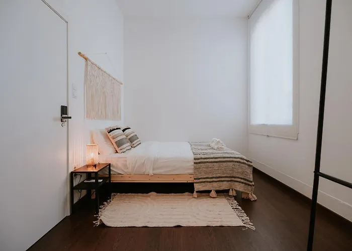 Cupula Albergue Porto